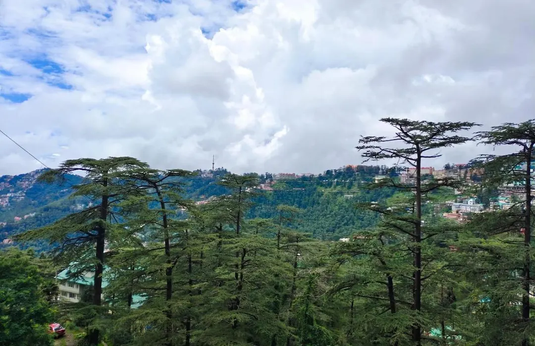 Shimla Royale - Near Mall Road Free Pickup From Railway Station Shimla-1